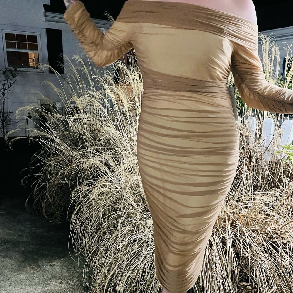 SHEIN | Mesh Body—Con Dress
